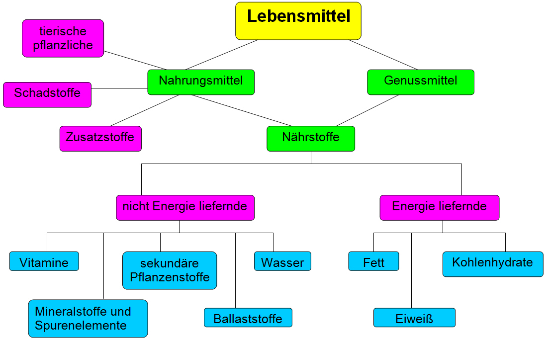 Lebensmittel Übersicht