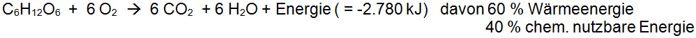 C6H12O6  +  6 O2  wir zu  6 CO2  + 6 H2O + Energie ( = -2.780 kJ)   davon 60 % Wärmeenergie und  40 % chem. nutzbare Energie