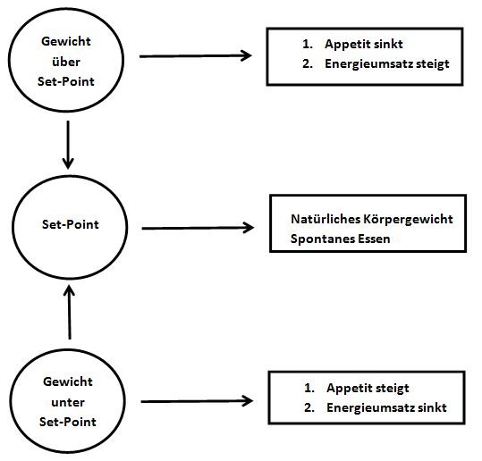 bild_setpoint_loesung.jpg