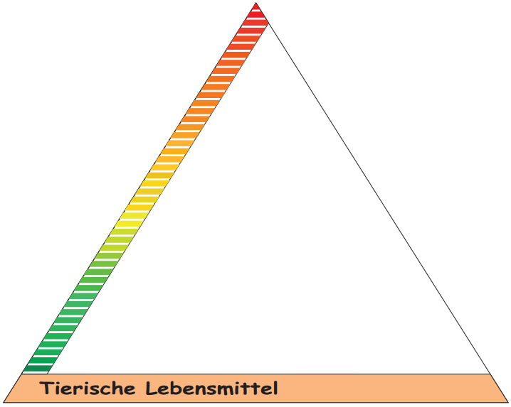 Ernährungspyramide tierischeLebensmittel