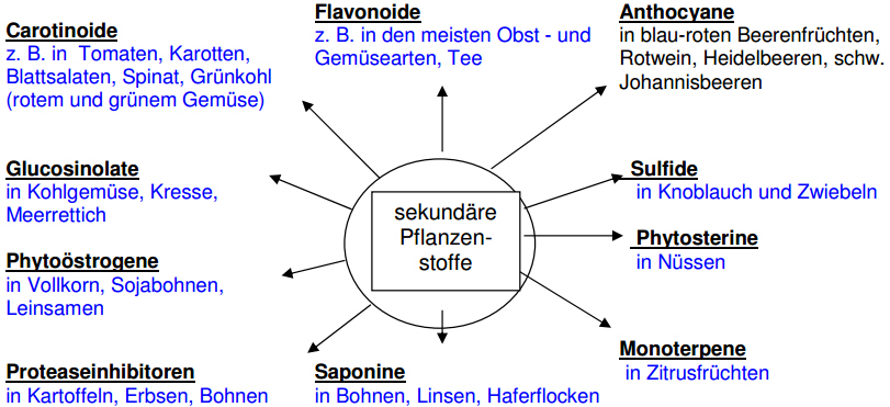 sekundäre Pflanzenstoffe