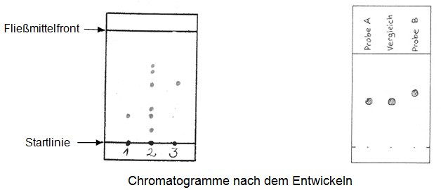 18_06_bild4.jpg