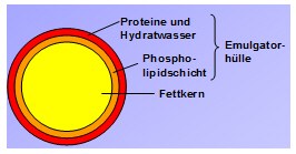 19_05_bild2.jpg