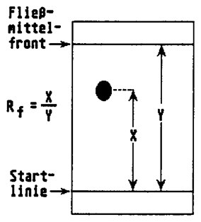 19_05_bild6.jpg