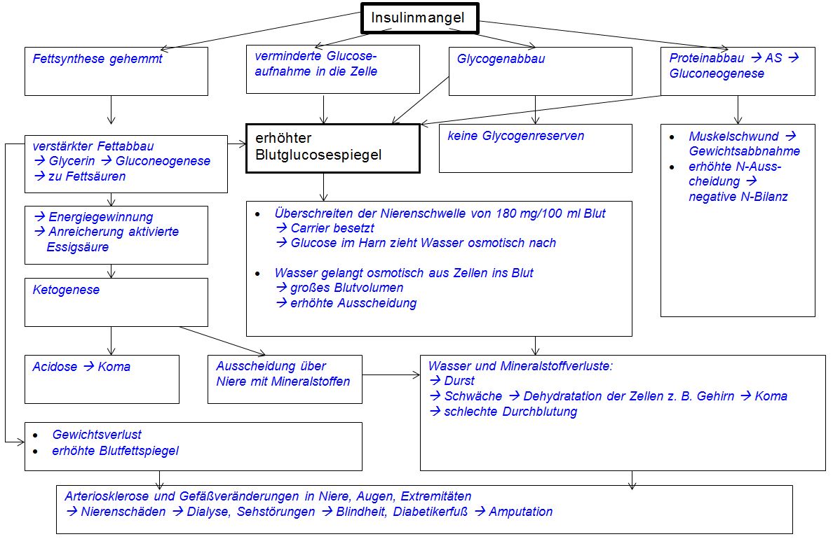 Störung Insulinmangel