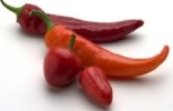 chilli_rot_100.jpg
