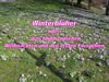 a_winterblueher_start_jpg.jpg