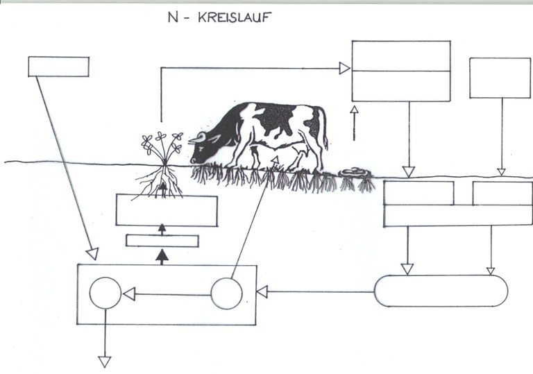 n_kreislauf.jpg