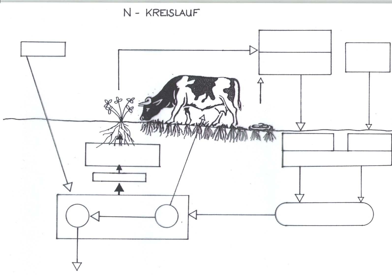 n_kreislauf.jpg