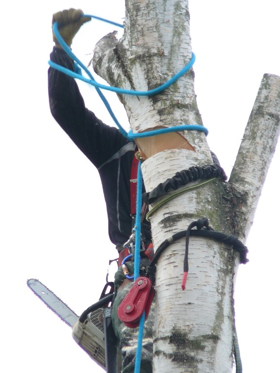 fallkerb_05_ablassen.jpg