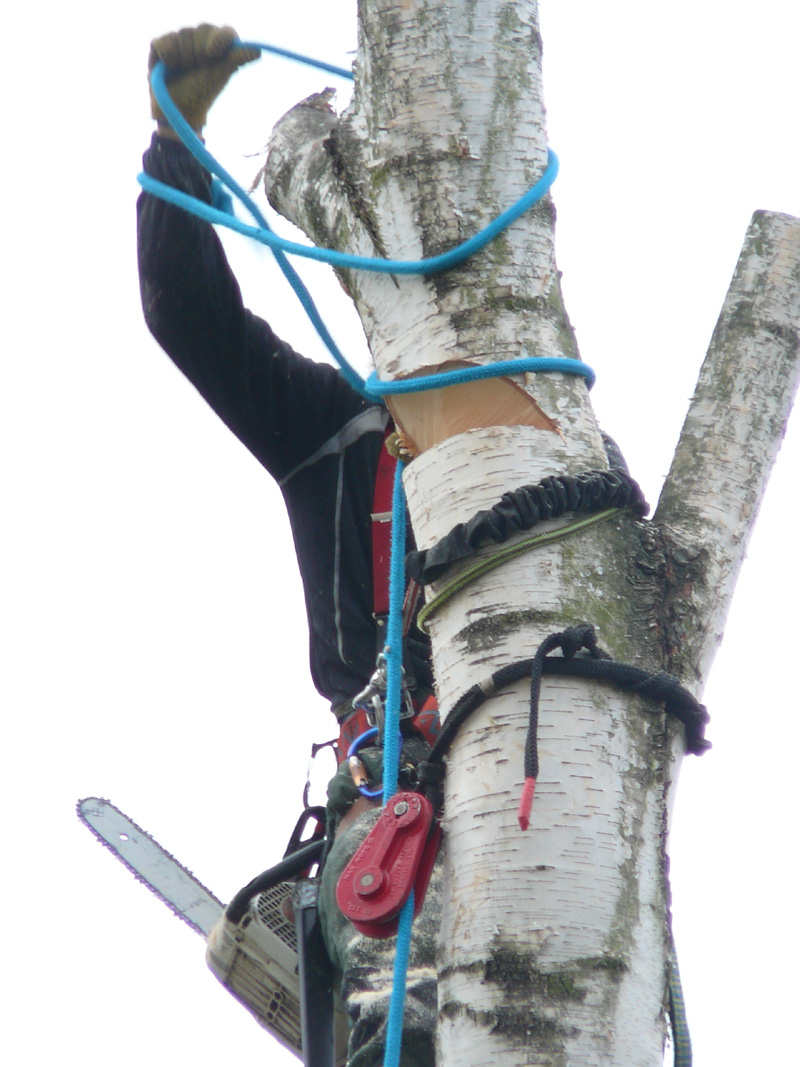 fallkerb_05_ablassen.jpg