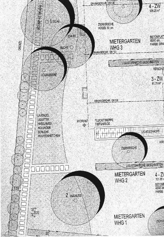 pflanzplan_01_jpg.jpg