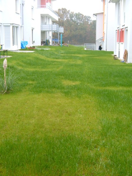 rasen_duengung_01.jpg — Landesbildungsserver BadenWürttemberg