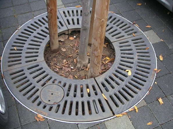 baumscheibe_02_jpg.jpg