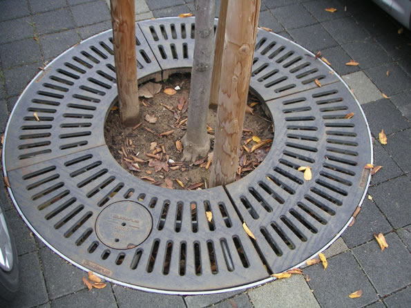 baumscheibe_02_jpg.jpg