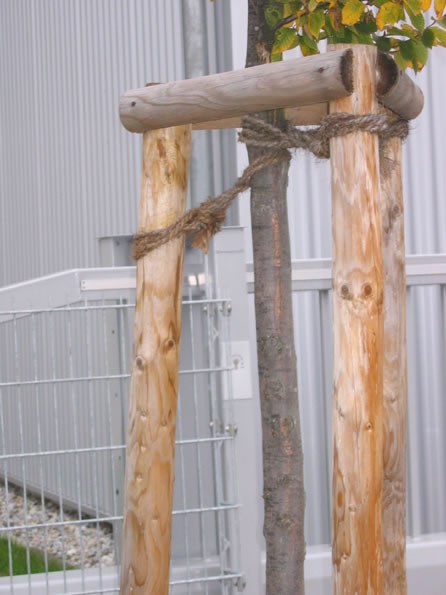 baumverankerung_mangel_01_jpg.jpg