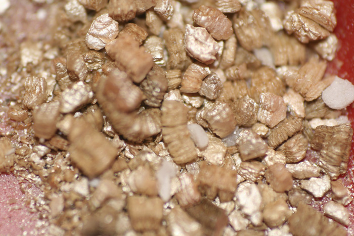 vermiculite.jpg