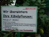 kuebelpflanzen_plakat_jpg.jpg