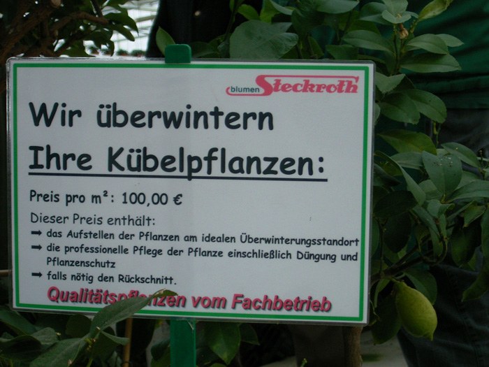 kuebelpflanzen_plakat.jpg