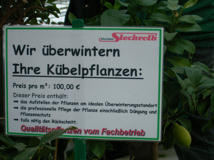 kuebelpflanzen_plakat.jpg