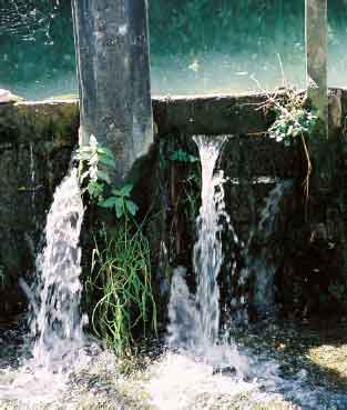 Impressionen von der Ammer.