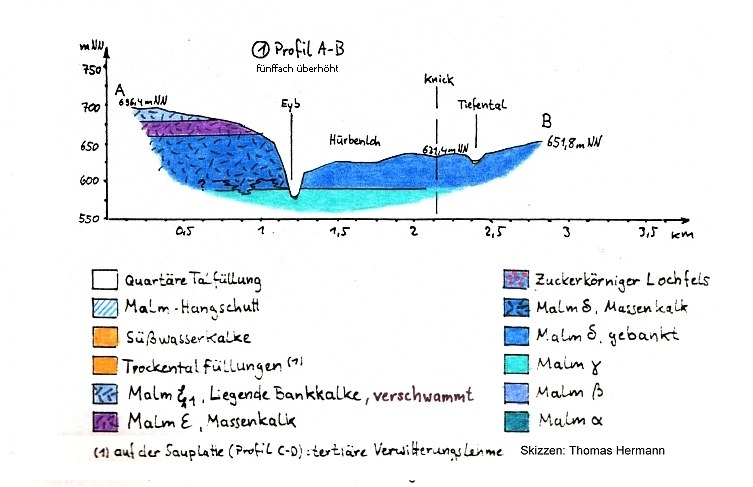 profil_ab.jpg