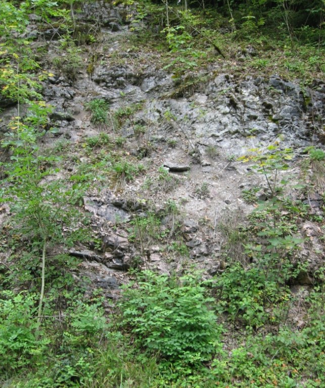 dogern.jpg dogern.jpg