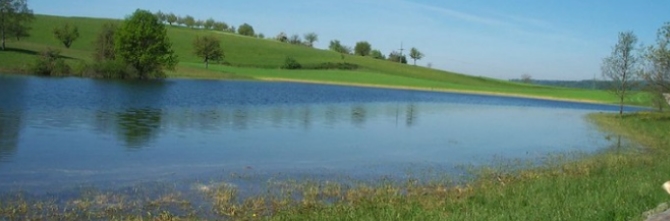 eichener_see2.jpg