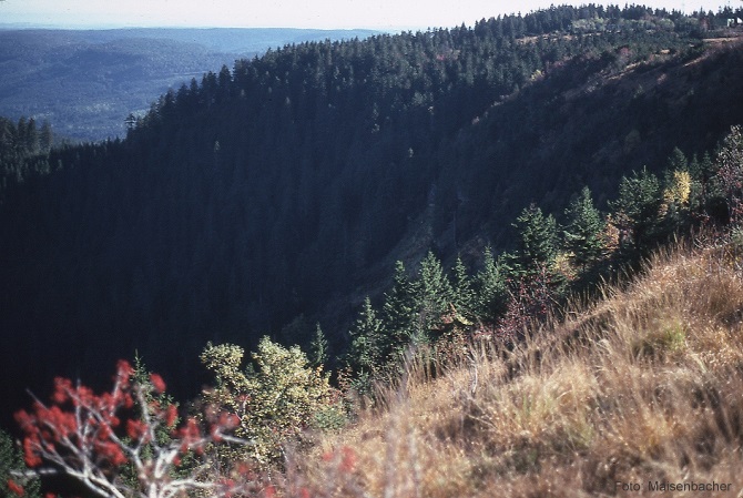 Blick in den Großen Biberkessel