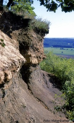 Foto: Aufschluss Schichtstufe