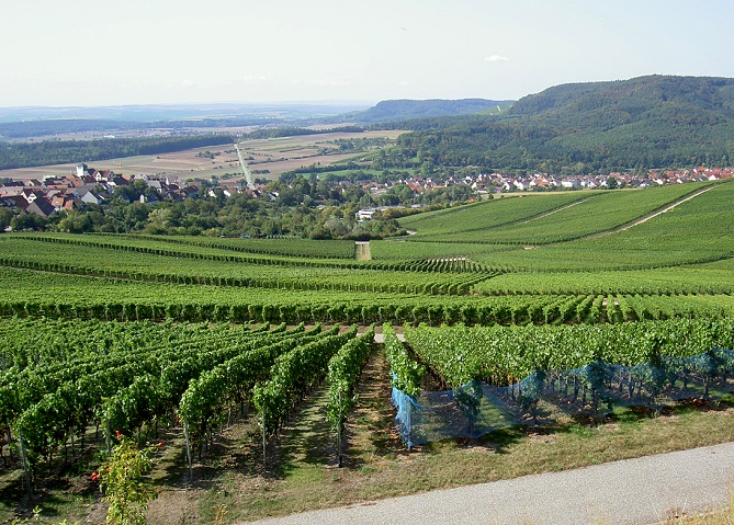 Schichtstufen bei Hohenhaslach