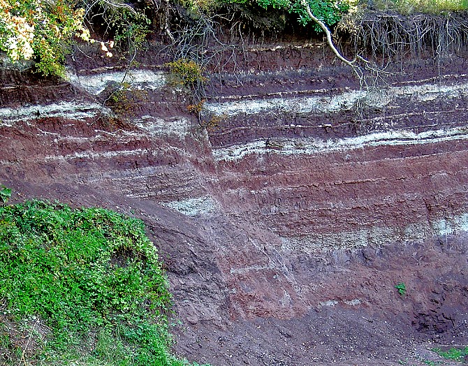 Verwerfung Bunte Mergel Hohenhaslach
