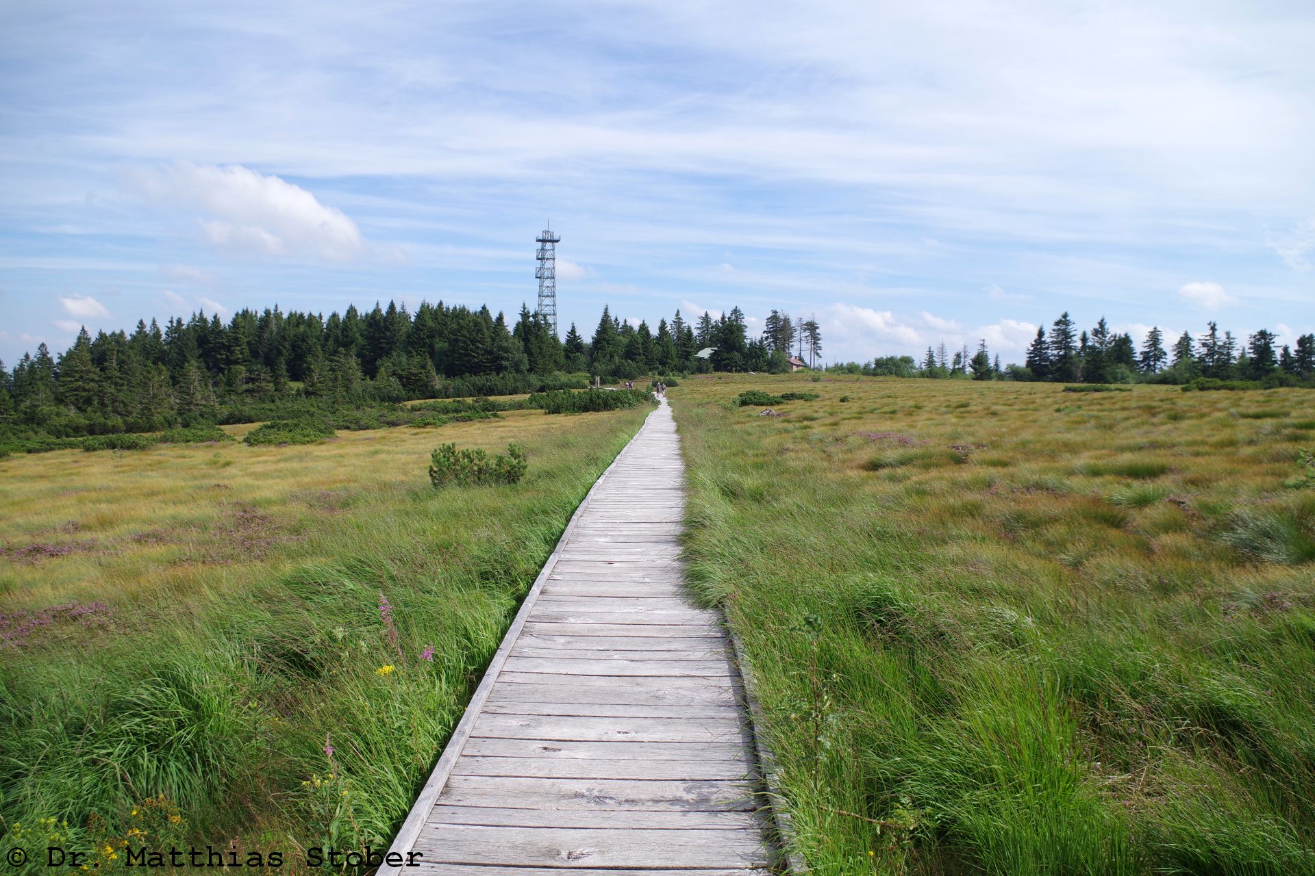 Hochmoor der Hornisgrinde