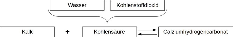 Kalkkreislauf_Worte.jpg