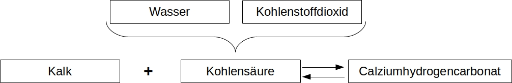 Kalkkreislauf_Worte.jpg