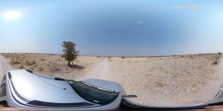 etosha.jpg etosha.jpg
