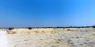 Salzpfanne im Etosha Nationalpark