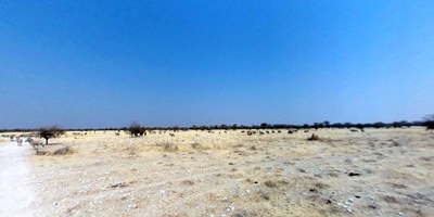 Salzpfanne im Etosha Nationalpark