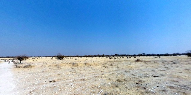 etosha_vorschau.jpg