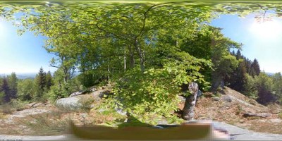 Blick in den Oberrheingraben, Position knapp oberhalb des Drachenfliegerplatzes in Sasbachwalden/Brandmatt