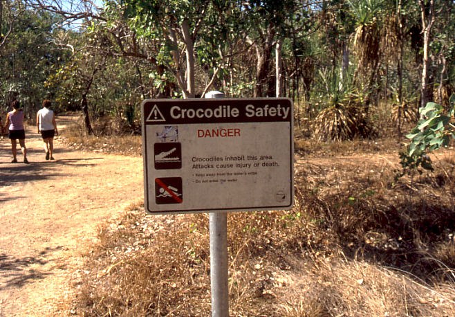 crocodilearea.jpg