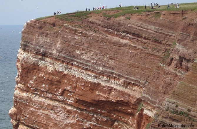 12_vogelfelsen_helgoland.jpg