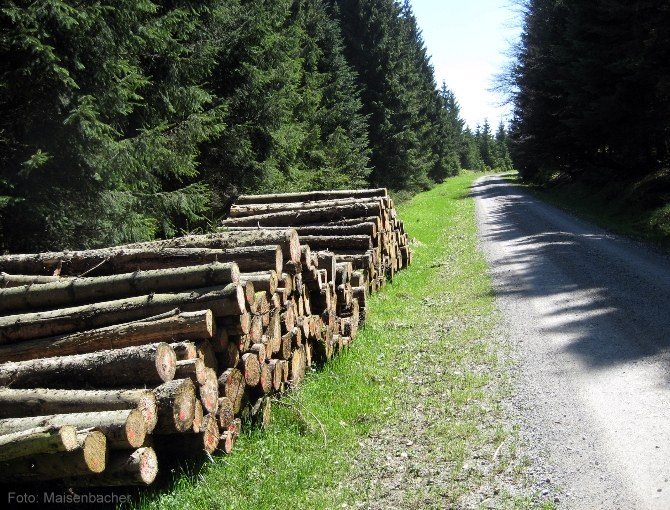 Holzstapel