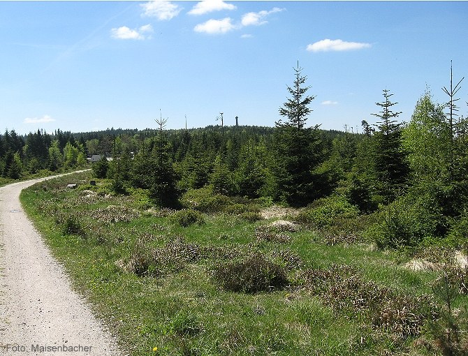 Blick zum Hohlohturm