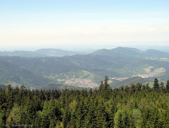 Blick vom Hohlohturm