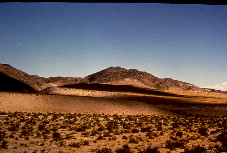 arizona desert.jpg