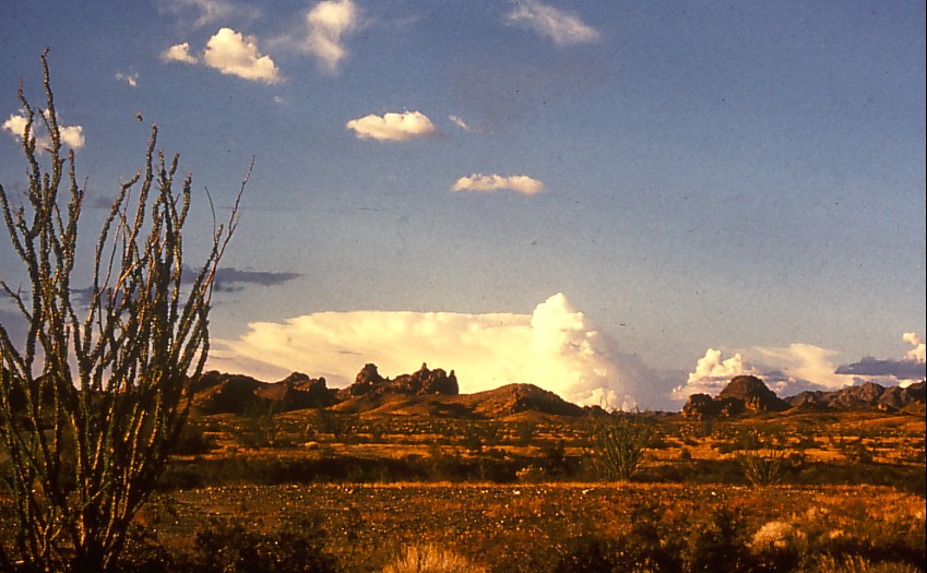 arizona desert2.jpg