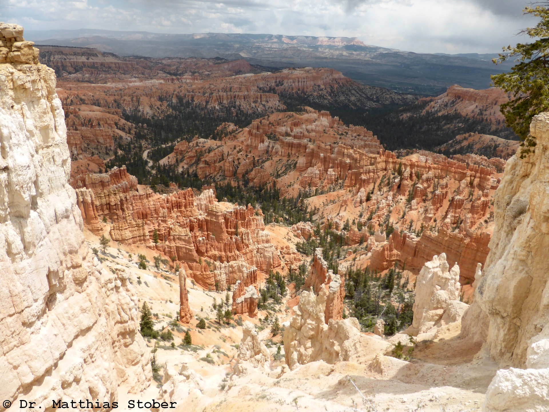 P1020509_Bryce.jpg