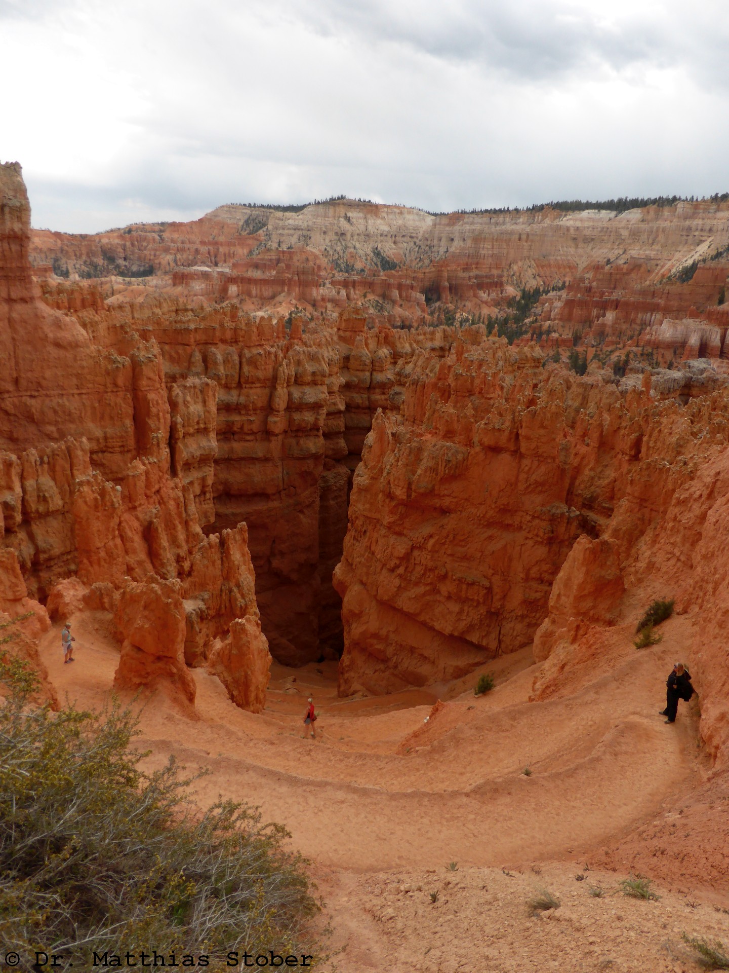 P1020544_Bryce.jpg