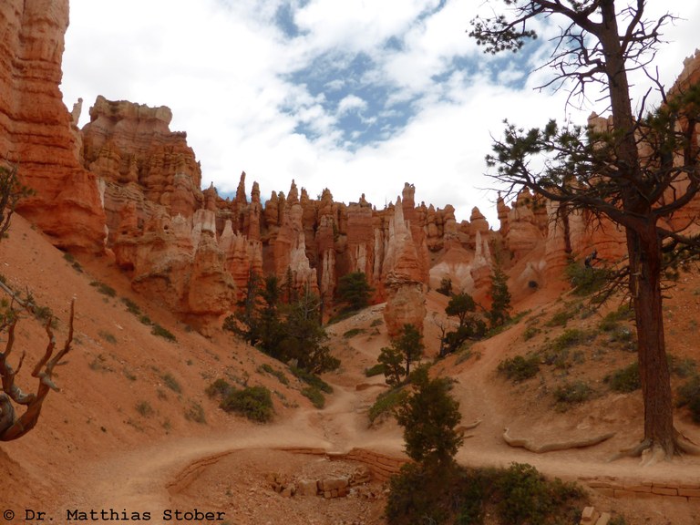 P1020568_Bryce.jpg P1020568_Bryce.jpg